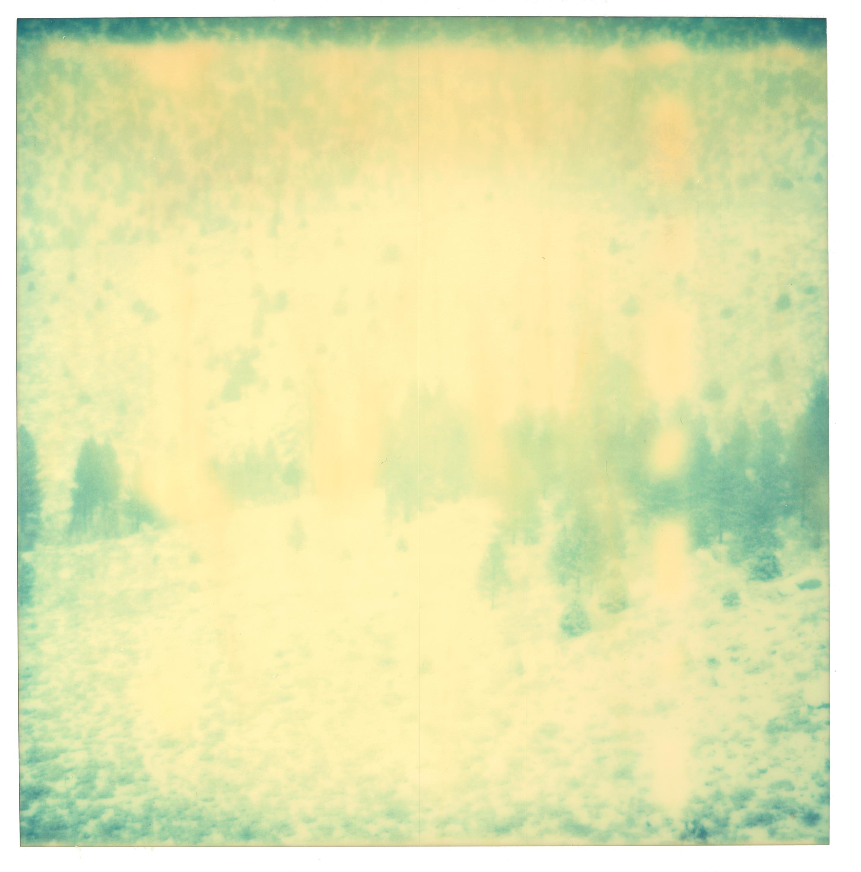 Memories of Green II, triptych, 

Edition 1/5 , 2003
each 58x56cm, installed with gaps 58x178cm, 
3 analog C-Prints, hand-printed by the artist on Fuji Crystal Archive Paper,
based on the 3 expired Polaroid, 
Artist inventory Number 1144.01.