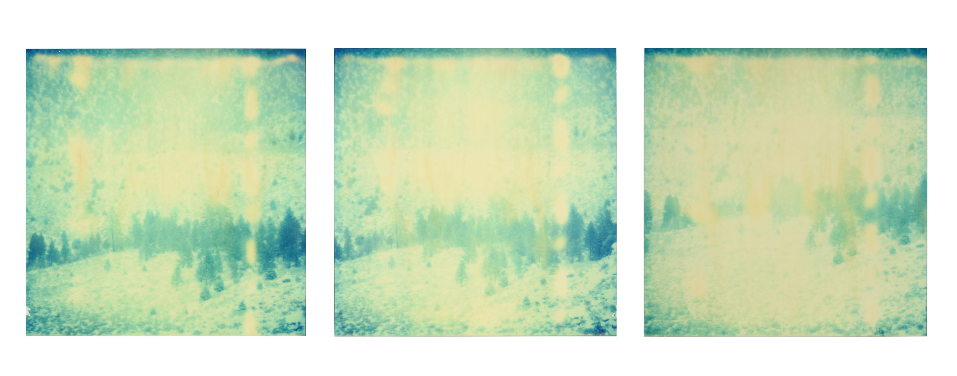 Stefanie Schneider Color Photograph - Memories of Green II, triptych, analog, mounted