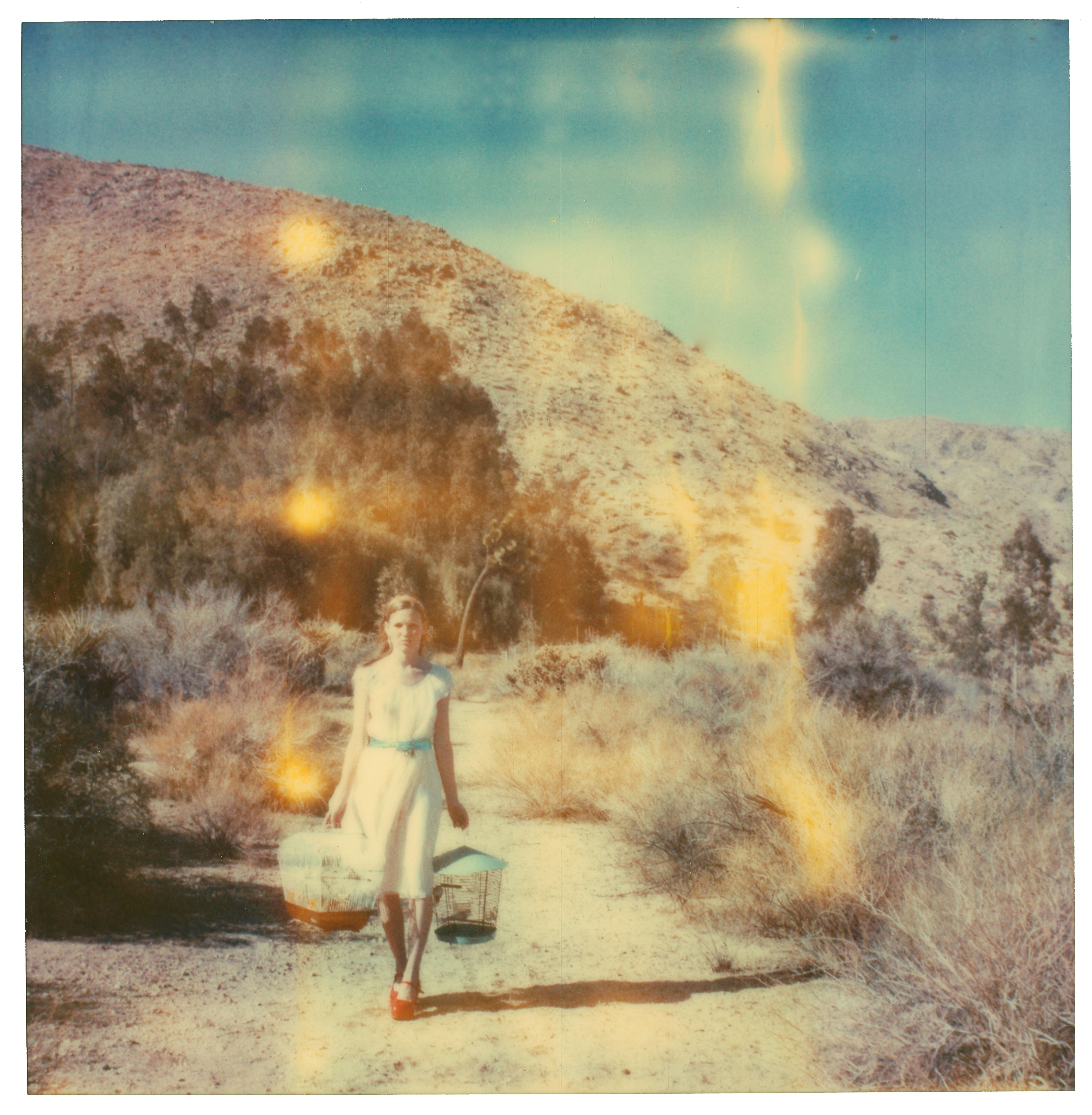 Stefanie Schneider Color Photograph - Memory Lane (Haley and the Birds) - 29 Palms, CA - based on a Polaroid Original
