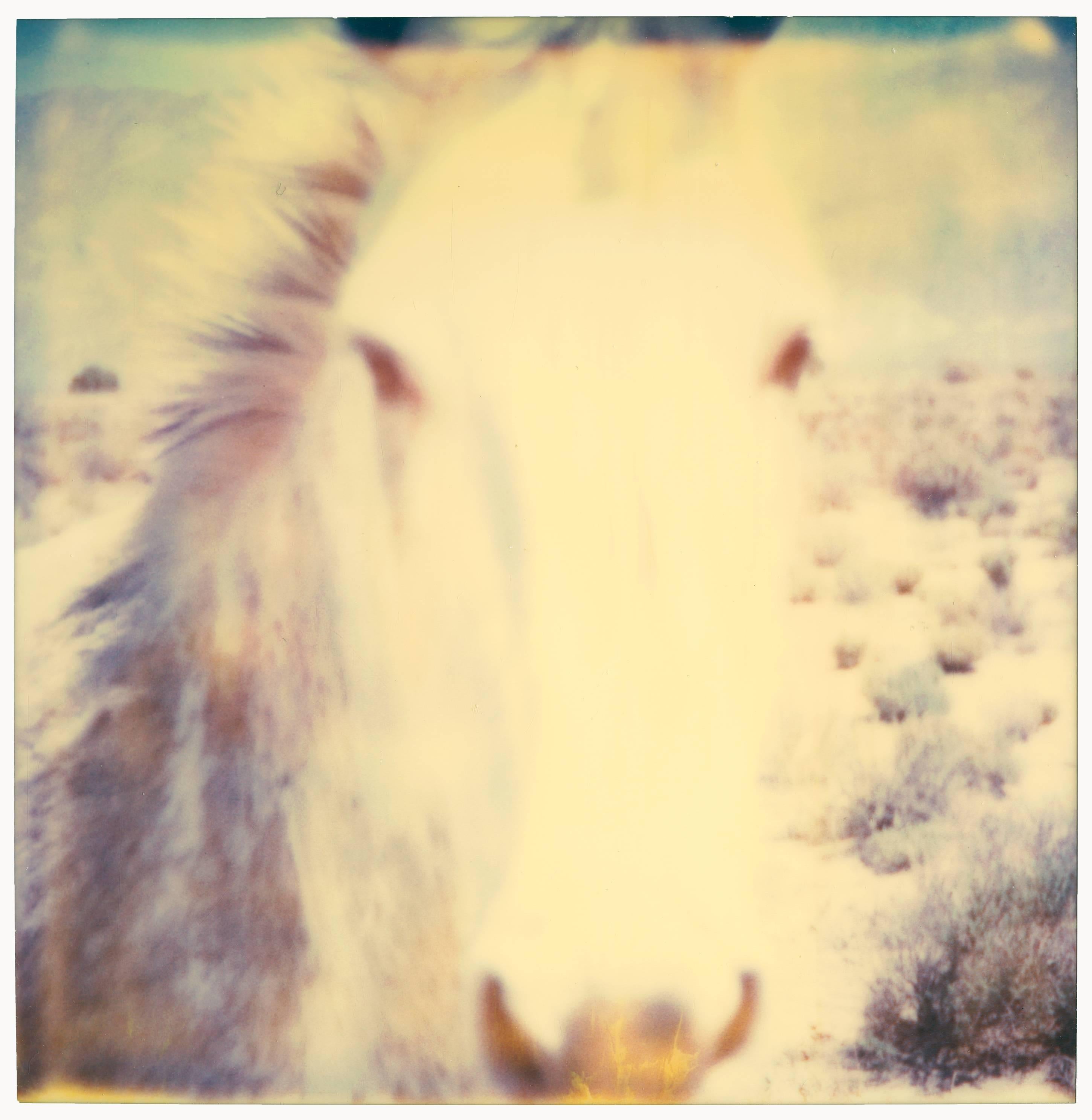 Stefanie Schneider Portrait Photograph - Mind Screen - (50x50cm) - Contemporary, Abstract, Horse, Polaroid, 21st Century,