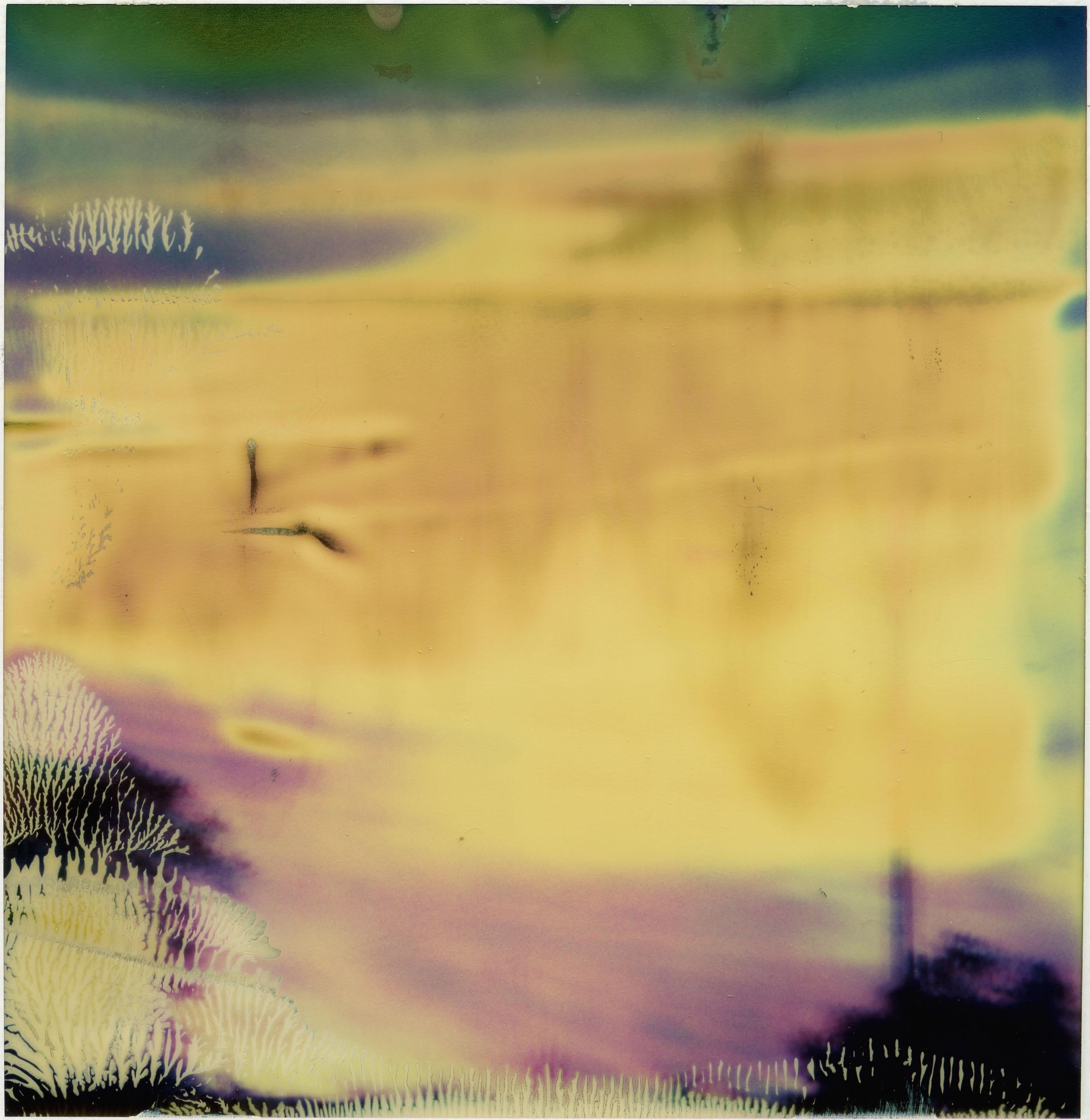 Tormenta mental (The Last Picture Show) - Contemporáneo, Siglo XXI, Polaroid