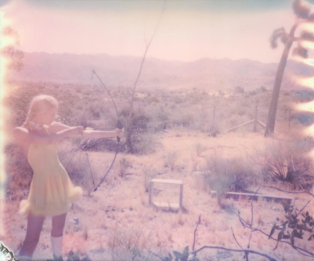 Stefanie Schneider Color Photograph - Mockingjay (Heavenly Falls) - Polaroid, Contemporary, Women