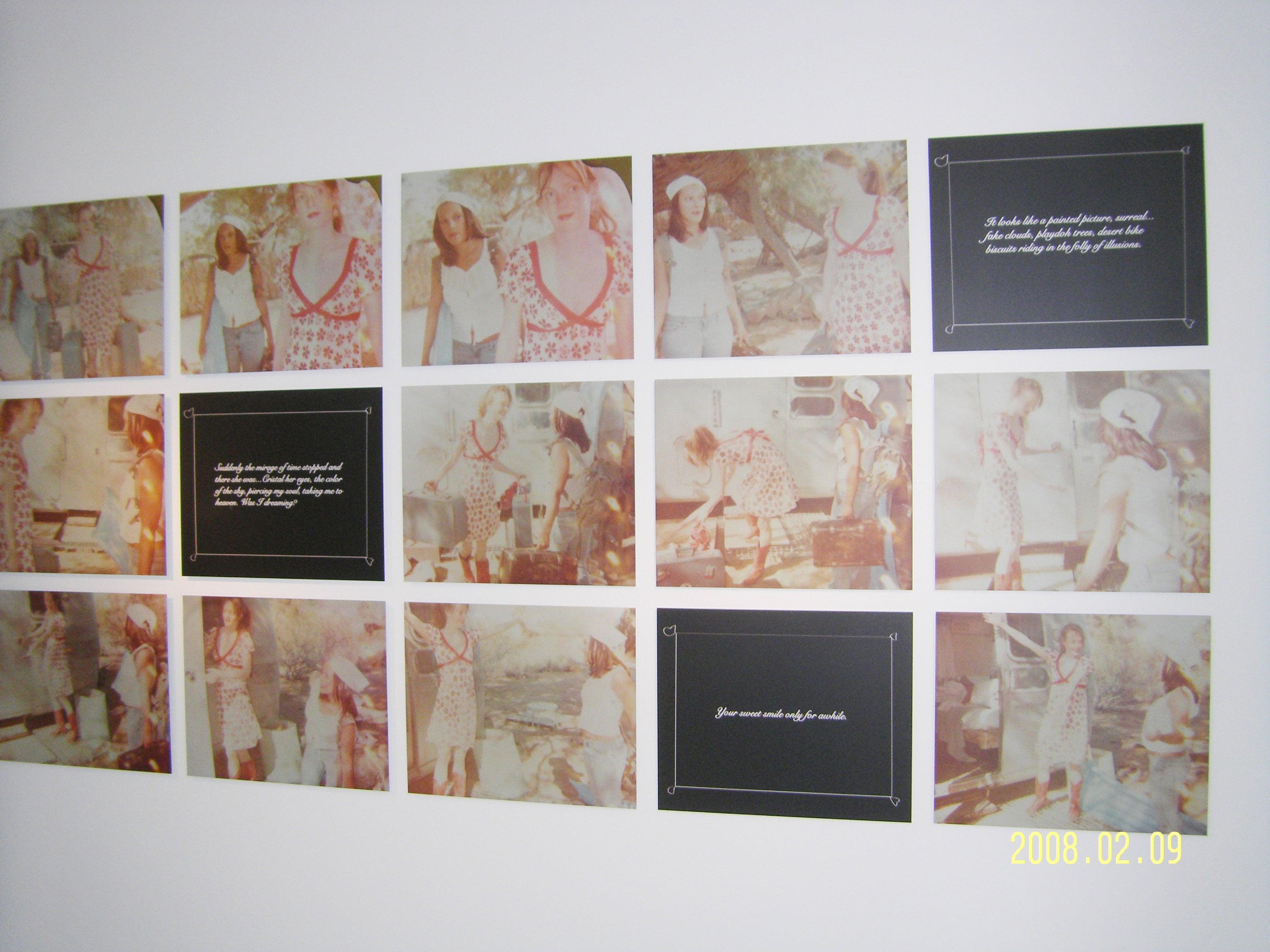 Gemeinsam einziehen (bis dass der Tod uns scheidet) - Installation - 2008

Auflage von 5.
16 analoge C-Prints, von der Künstlerin handgedruckt auf Fuji Crystal Archive Papier, basierend auf 13 Polaroids, 
Montiert auf Aluminium mit mattem UV-Schutz.