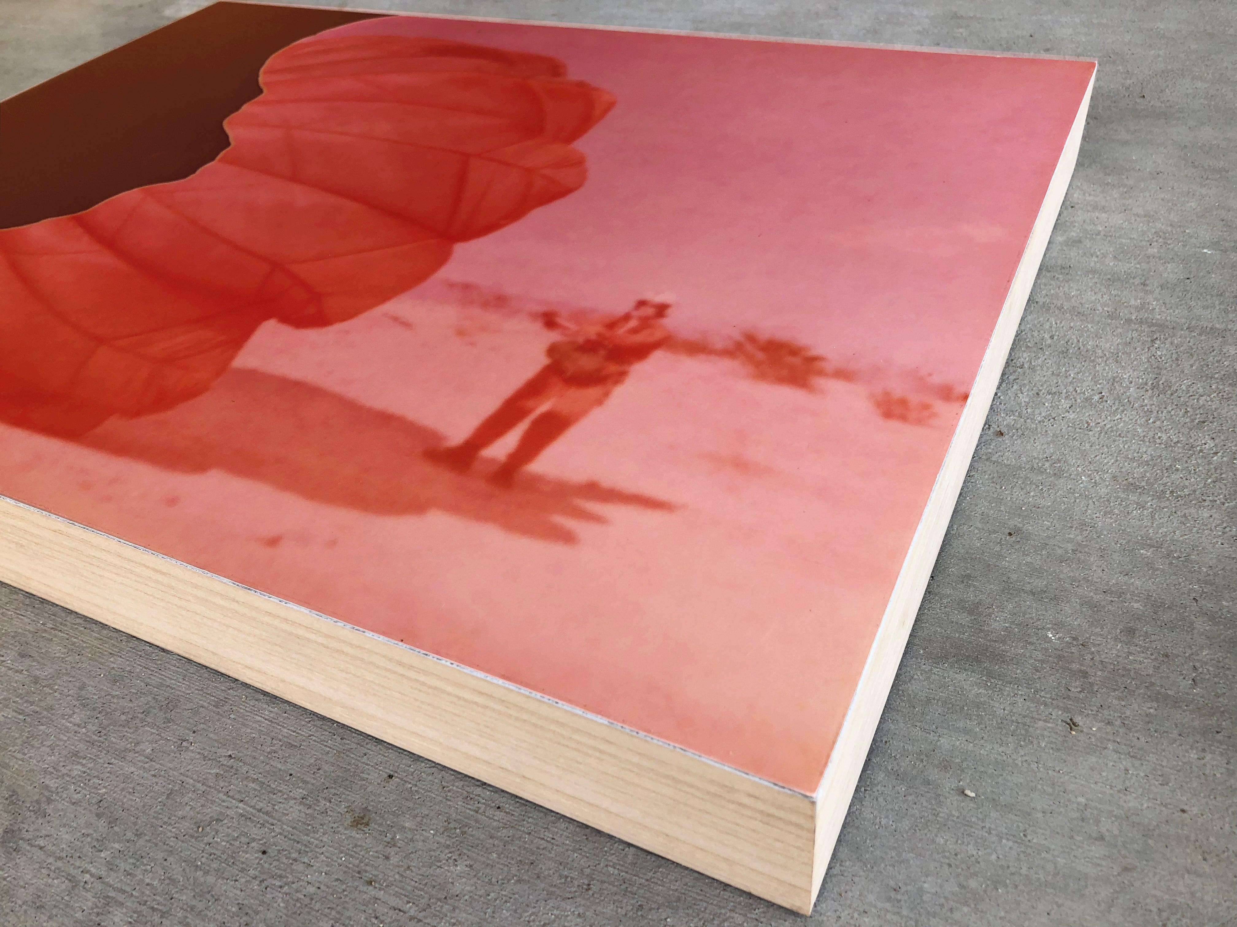 Niente da temere (La ragazza dietro la staccionata bianca) - montato - Photograph Contemporaneo di Stefanie Schneider