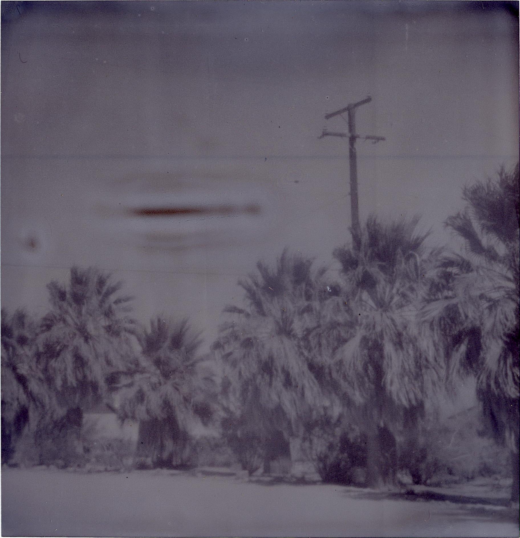 Oasis II (Sidewinder)