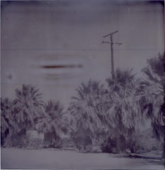 Oasis II (Sidewinder)