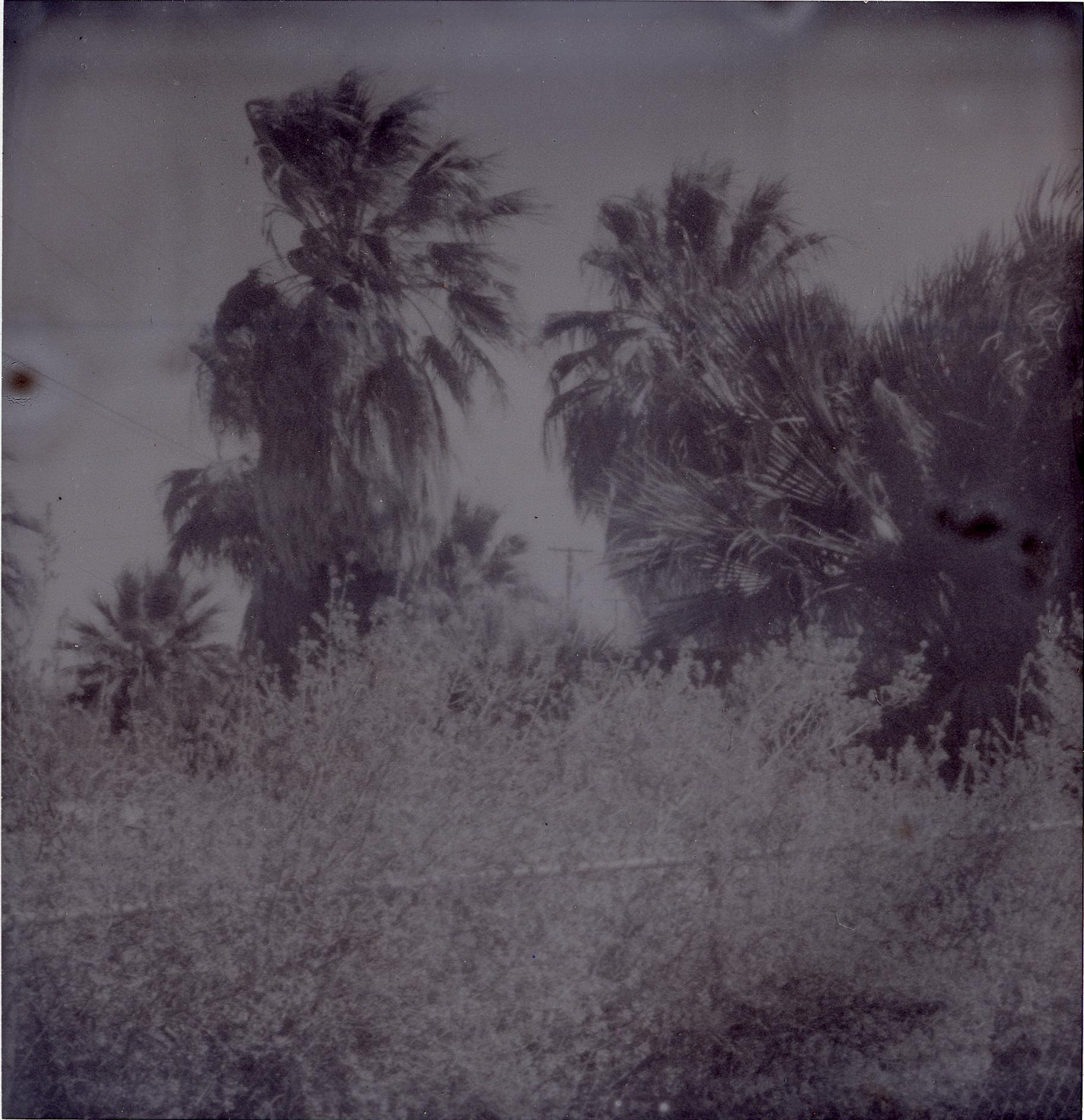 Oasis III (Sidewinder)