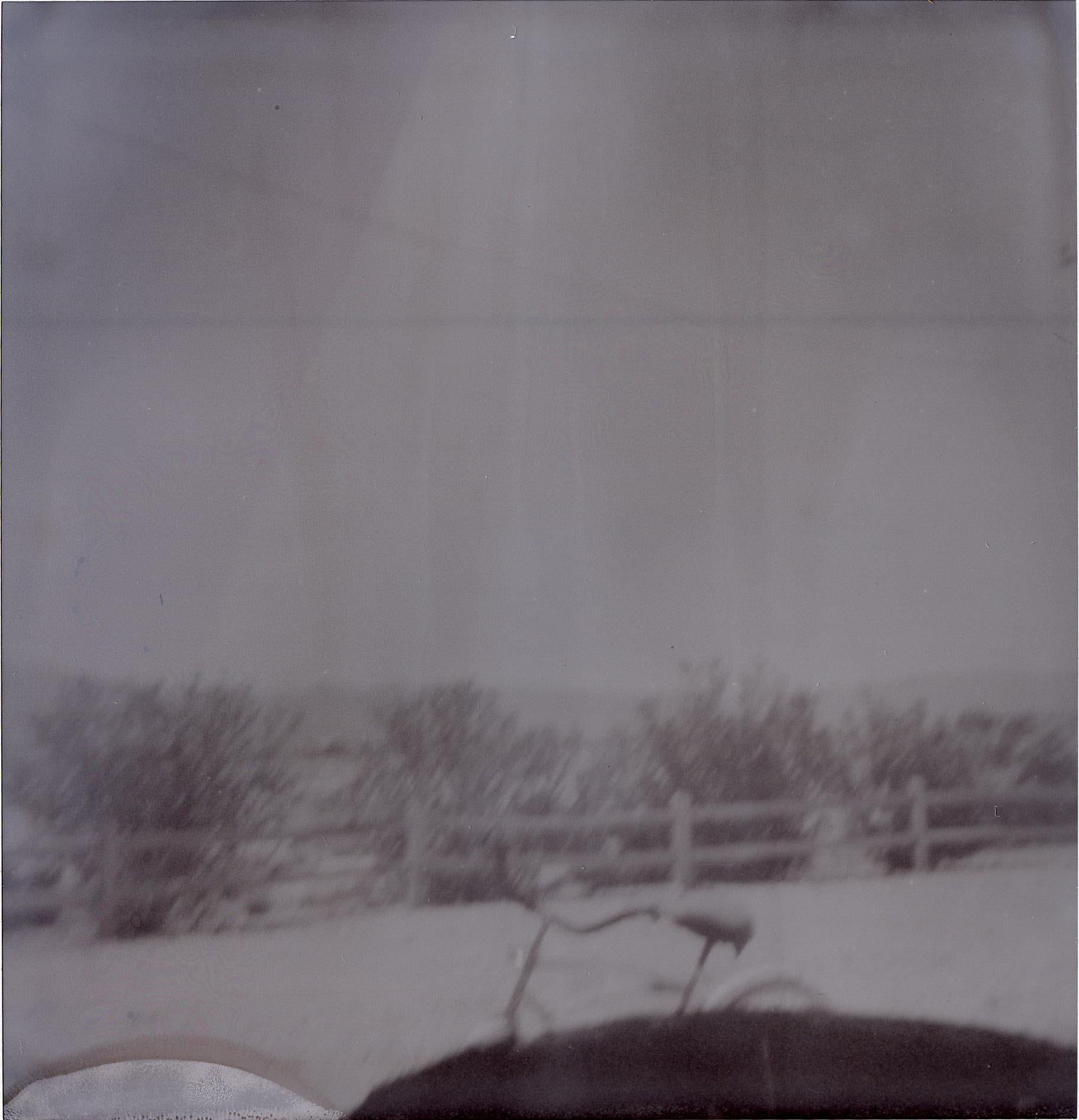 Oasis IX (Sidewinder)