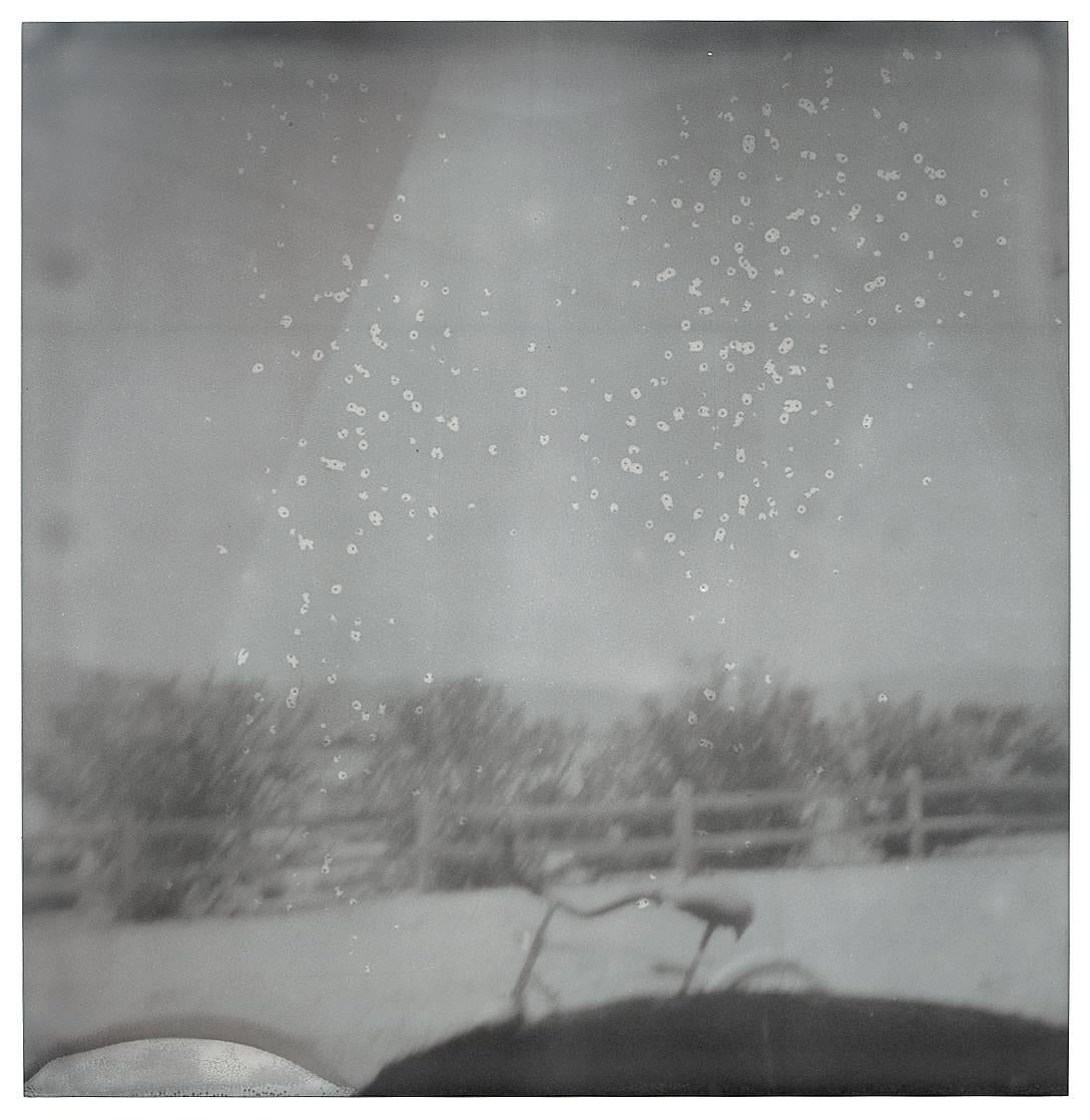 Oasis (Sidewinder) - 21st Century, Contemporary, Polaroid, Landscape For Sale 6
