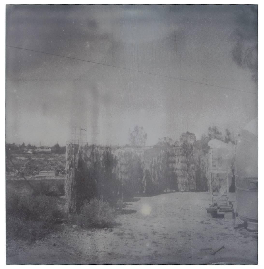 Oasis (Sidewinder) - 21st Century, Contemporary, Polaroid, Landscape For Sale 9