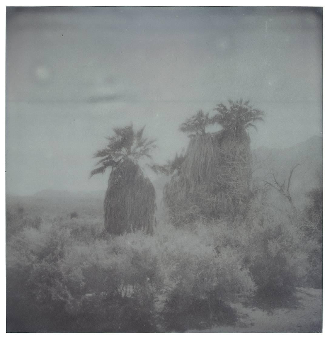 Oasis (Sidewinder) - 21st Century, Contemporary, Polaroid, Landscape For Sale 13
