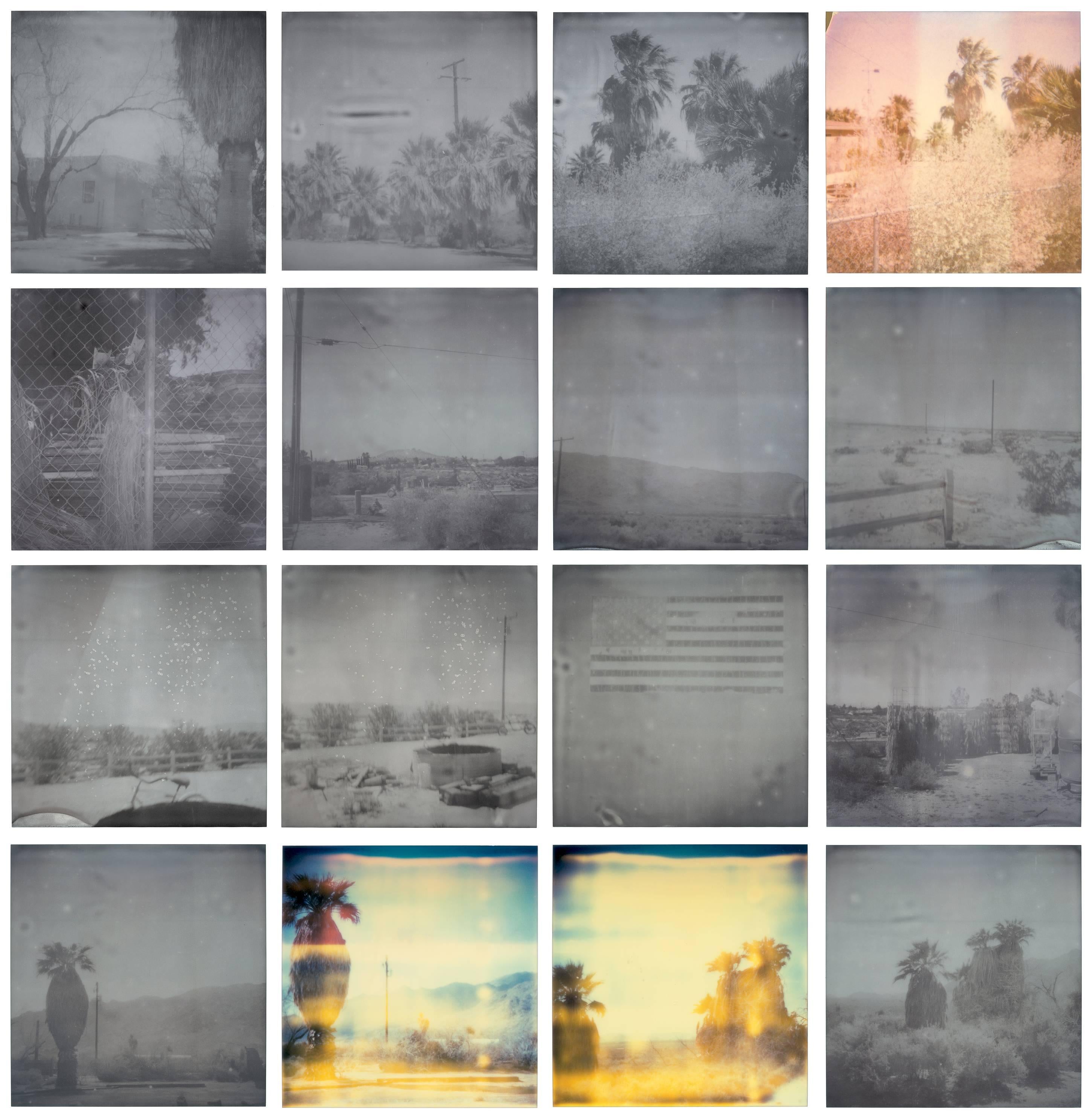 Oasis (Sidewinder) - 21st Century, Contemporary, Polaroid, Landscape - Photograph by Stefanie Schneider