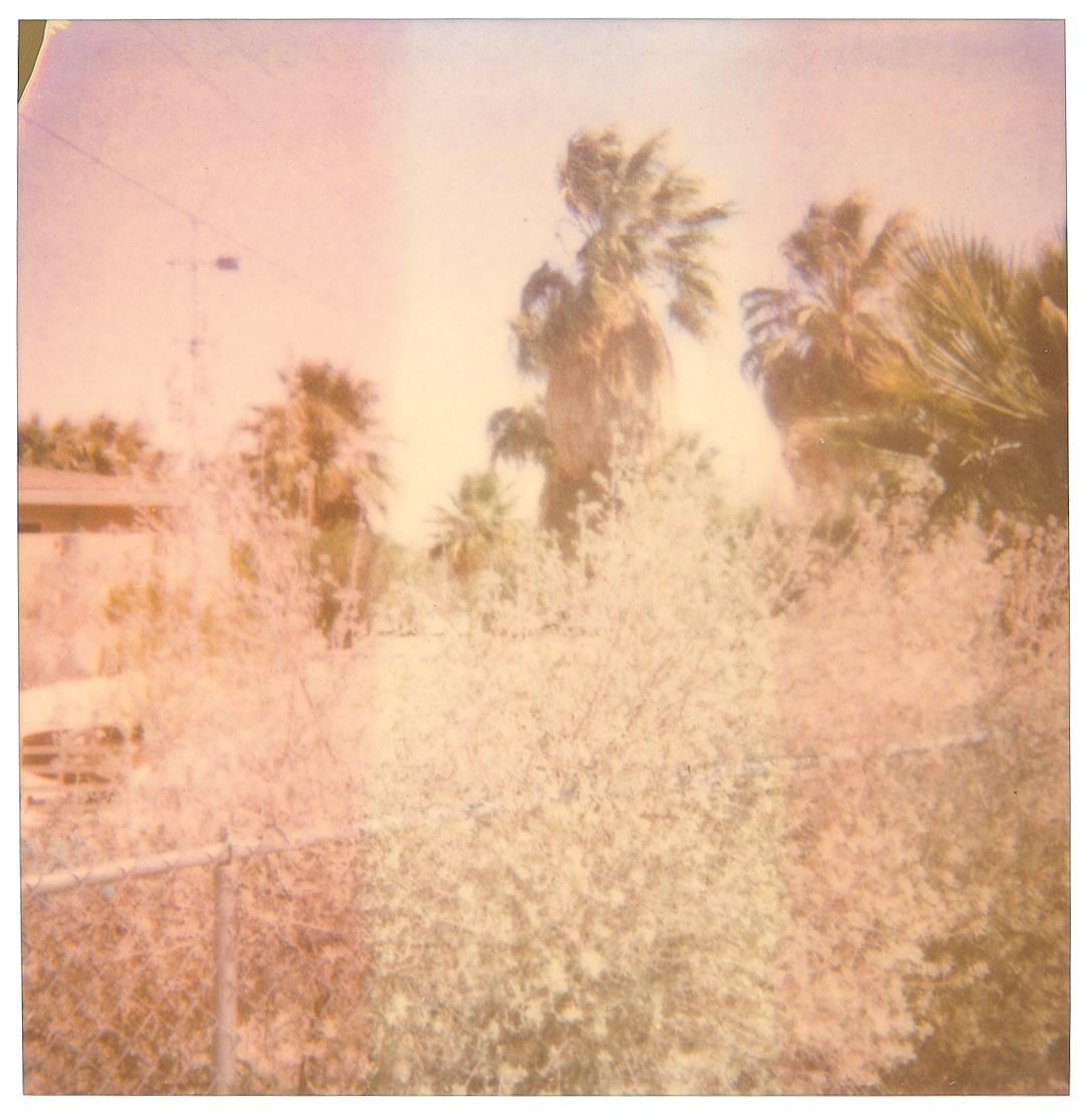 Oasis (Sidewinder) - 21e siècle, contemporain, Polaroid, paysage en vente 1