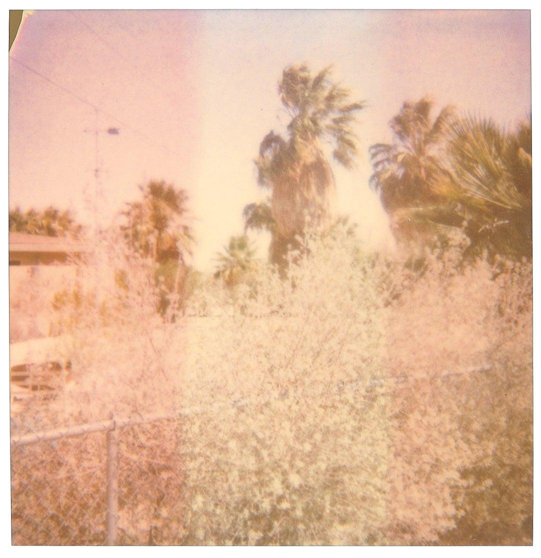 Oasis - Sidewinder, 30x30cm digitaler C-Print 1