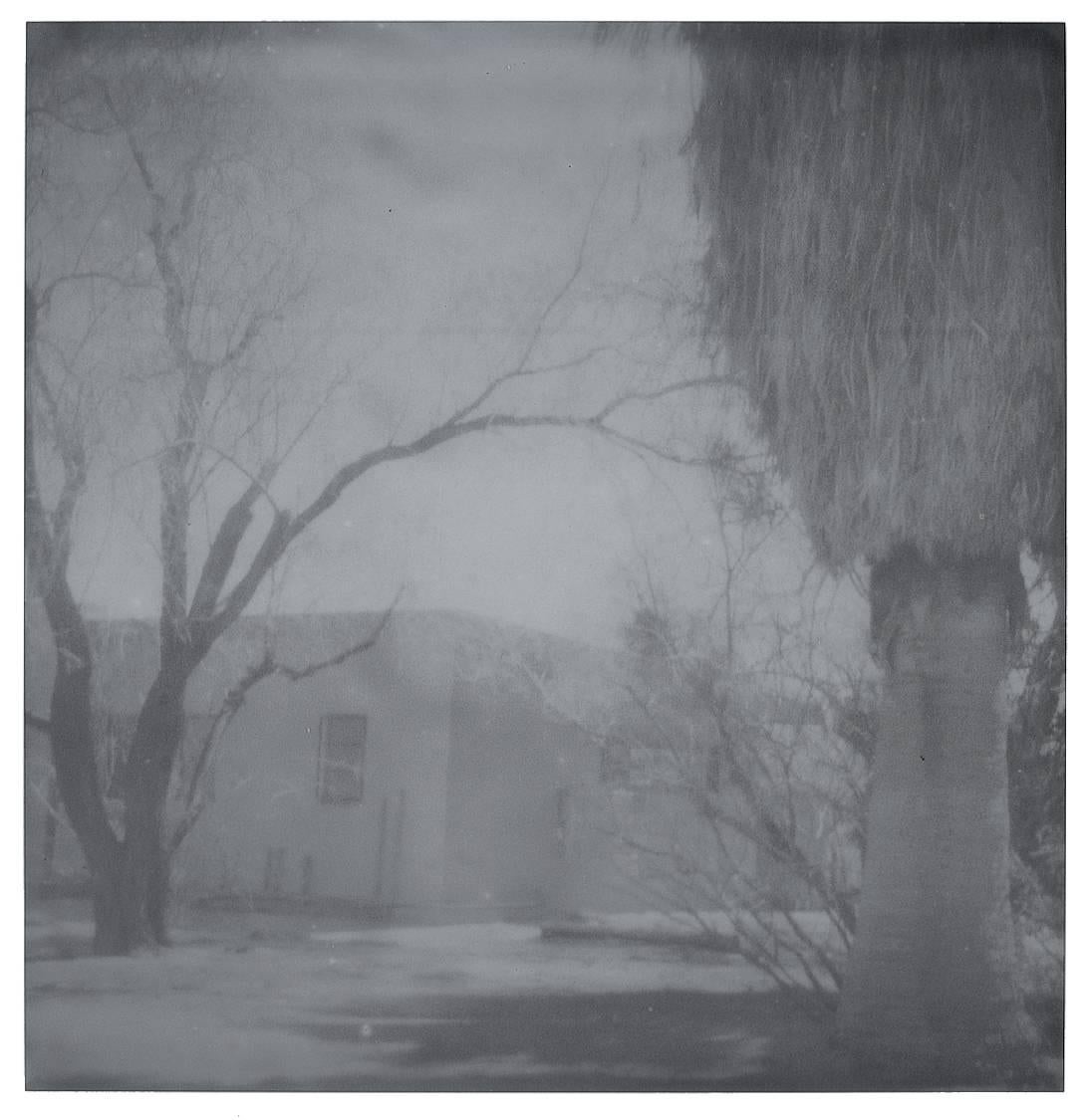 Oasis (Sidewinder) - analogico, montato - Photograph di Stefanie Schneider