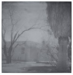 Oasis (Sidewinder) - analogique, monté