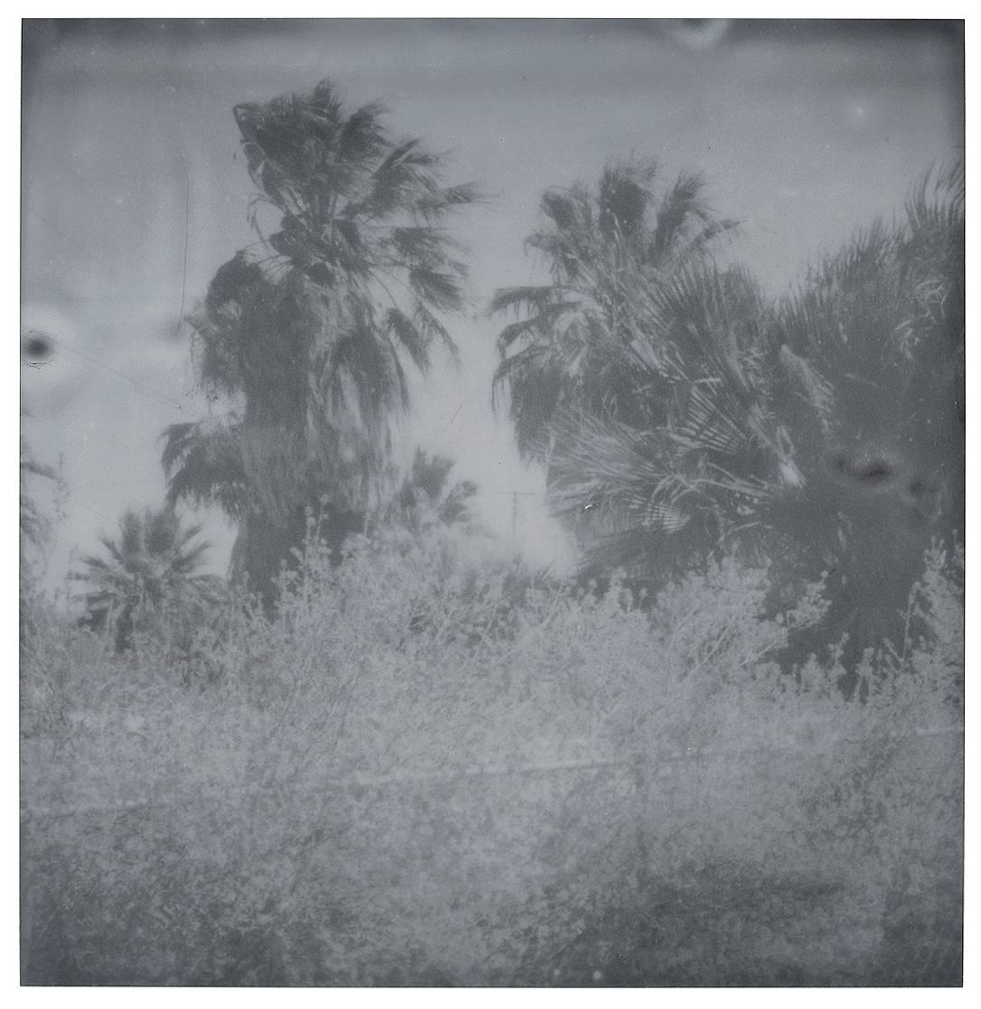 Oasis (Sidewinder) - analogico, montato - Color Photograph Grigio di Stefanie Schneider