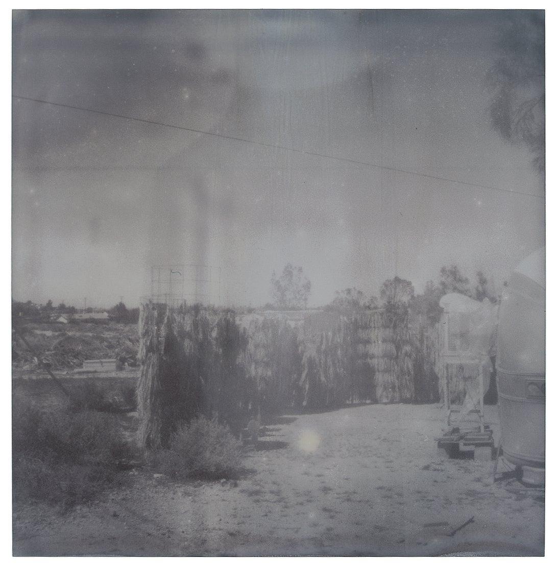 Oasis (Sidewinder) – Landschaft, Schwarz-Weiß, zeitgenössisch, Polaroid im Angebot 9