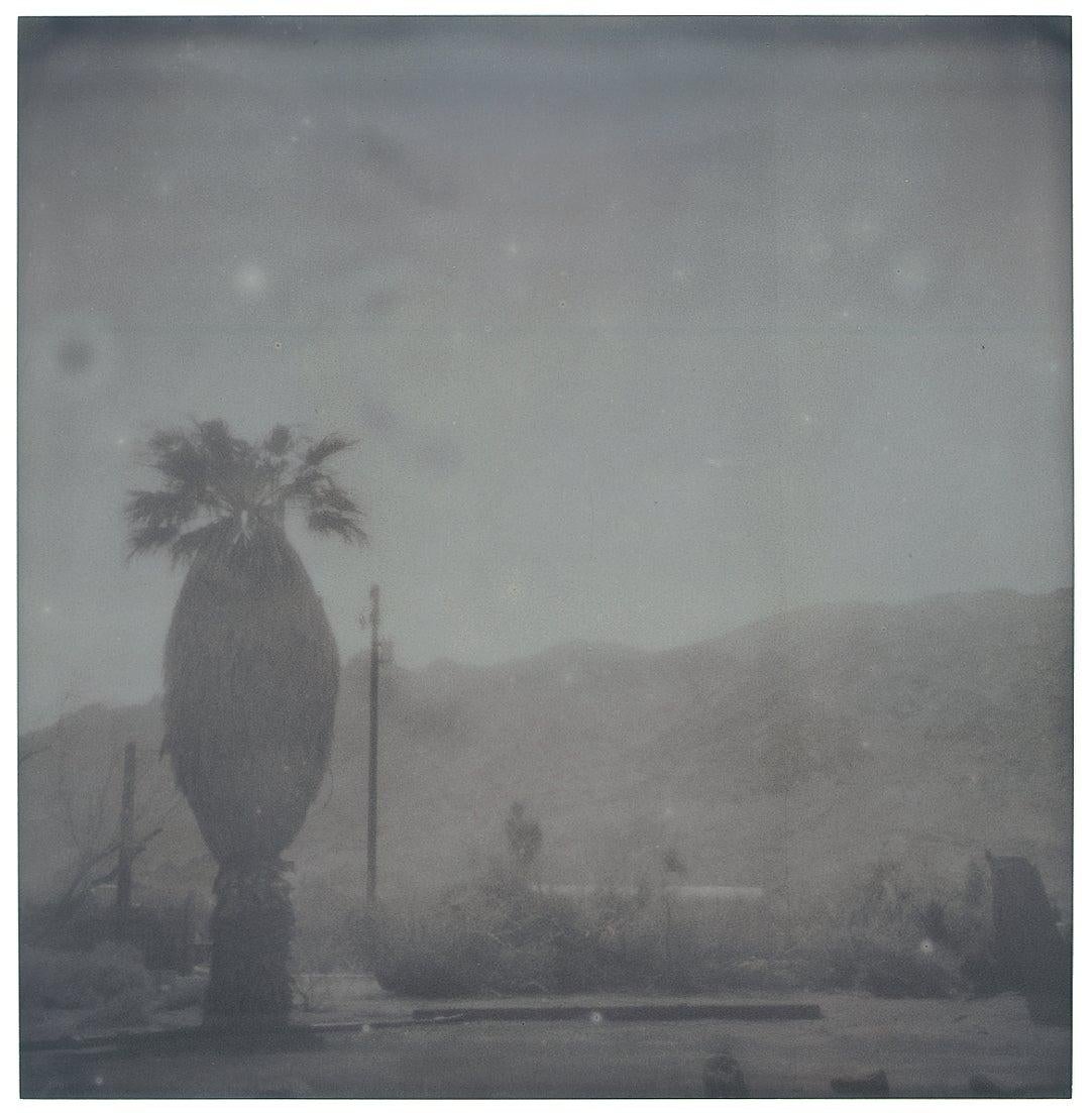 Oasis (Sidewinder) – Landschaft, Schwarz-Weiß, zeitgenössisch, Polaroid im Angebot 10