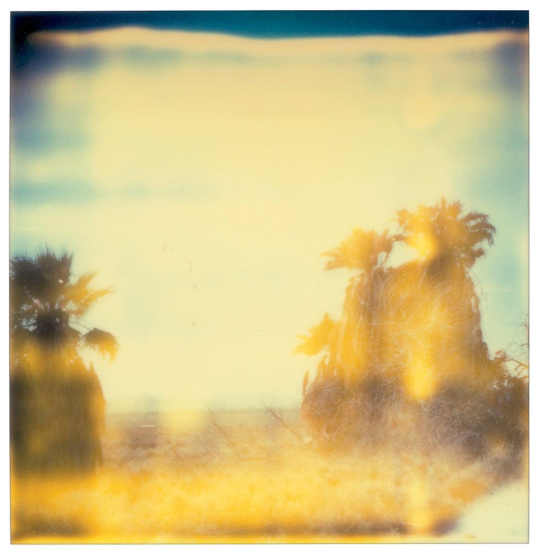Oasis (Sidewinder) – Landschaft, Schwarz-Weiß, zeitgenössisch, Polaroid im Angebot 12