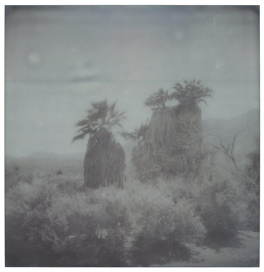 Oasis (Sidewinder) – Landschaft, Schwarz-Weiß, zeitgenössisch, Polaroid im Angebot 13