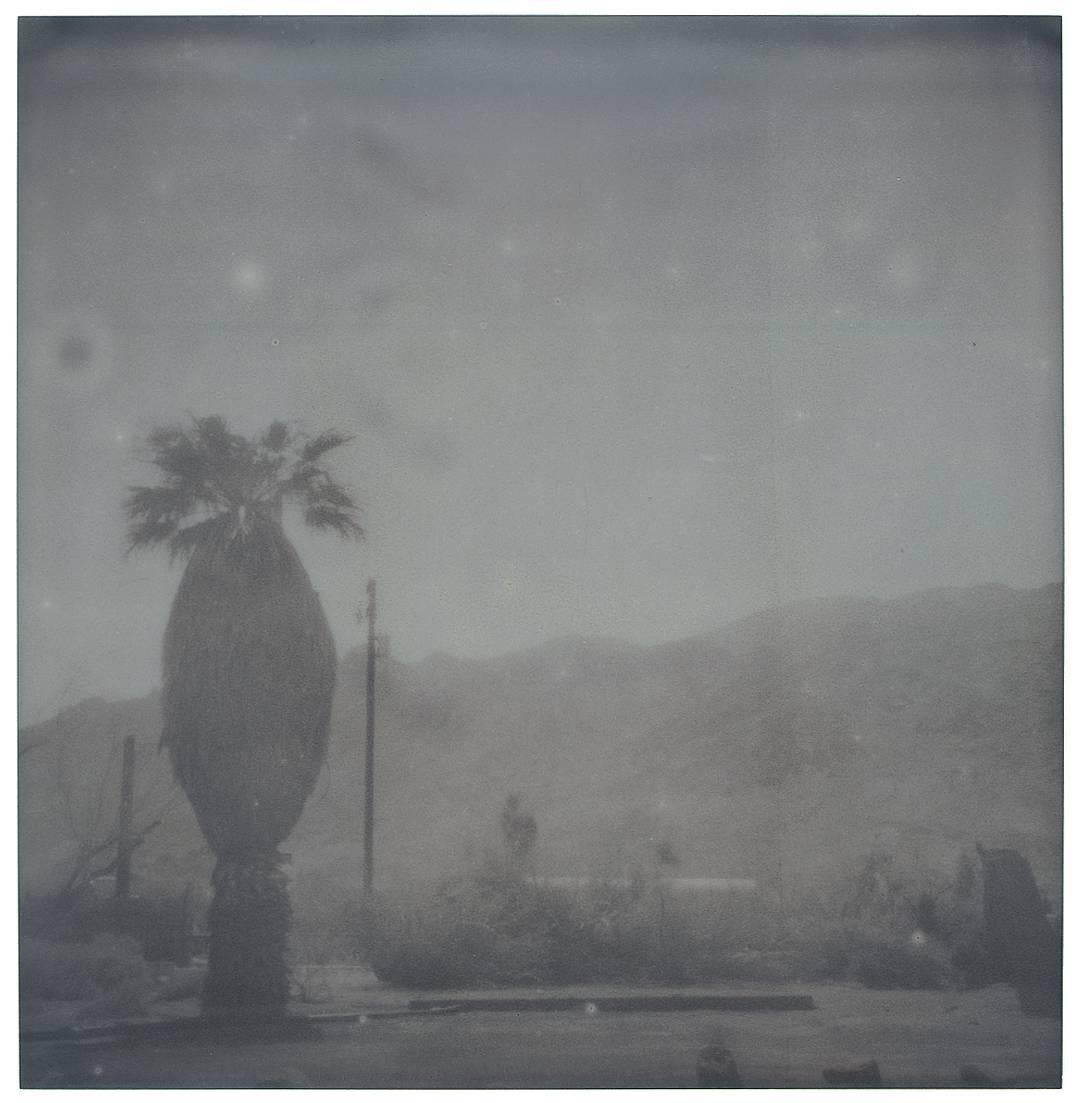 Oasis (Sidewinder) – Landschaft, Schwarz-Weiß, zeitgenössisch, Polaroid im Angebot 1