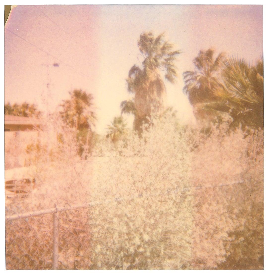 Oasis (Sidewinder) – Landschaft, Schwarz-Weiß, zeitgenössisch, Polaroid im Angebot 2