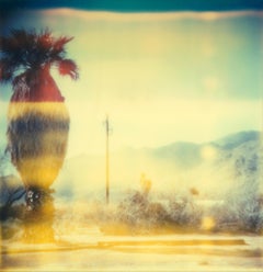 Oasis (Sidewinder) - Polaroid, analog