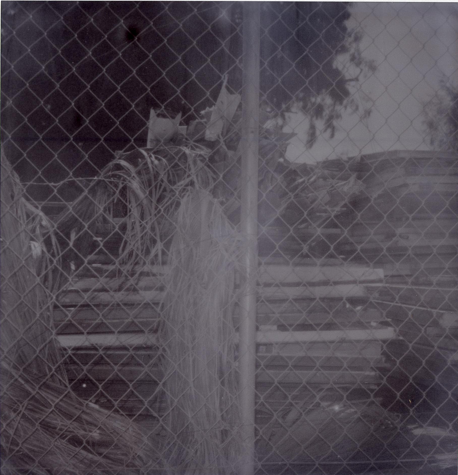 Oasis V (Sidewinder)