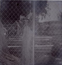 Oasis V (Sidewinder)