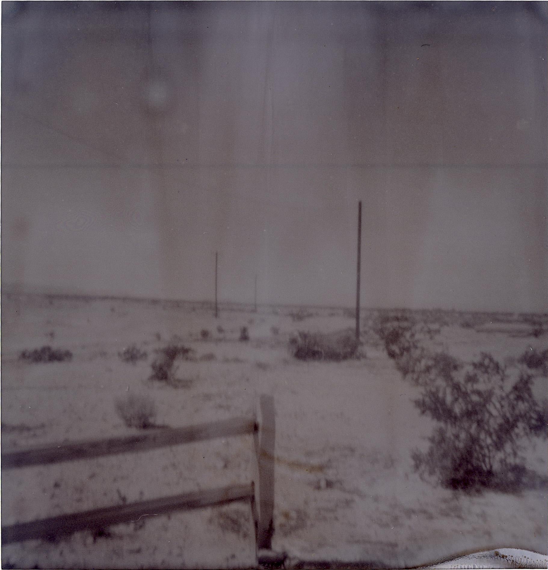 Oasis VIII (Sidewinder)