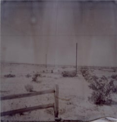 Oasis VIII (Sidewinder)