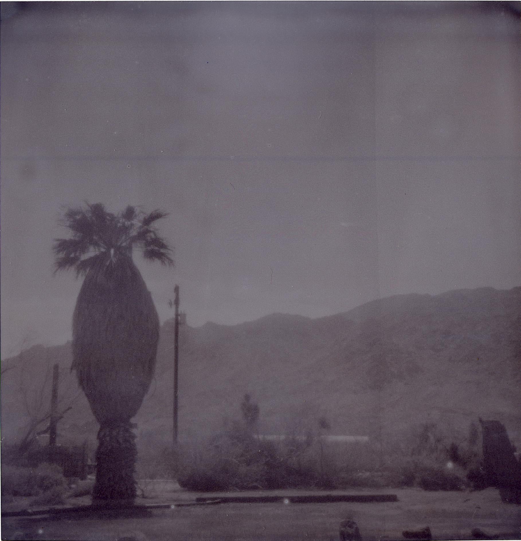 Oasis XIII (Sidewinder)