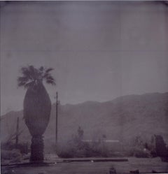 Oasis XIII (Sidewinder)