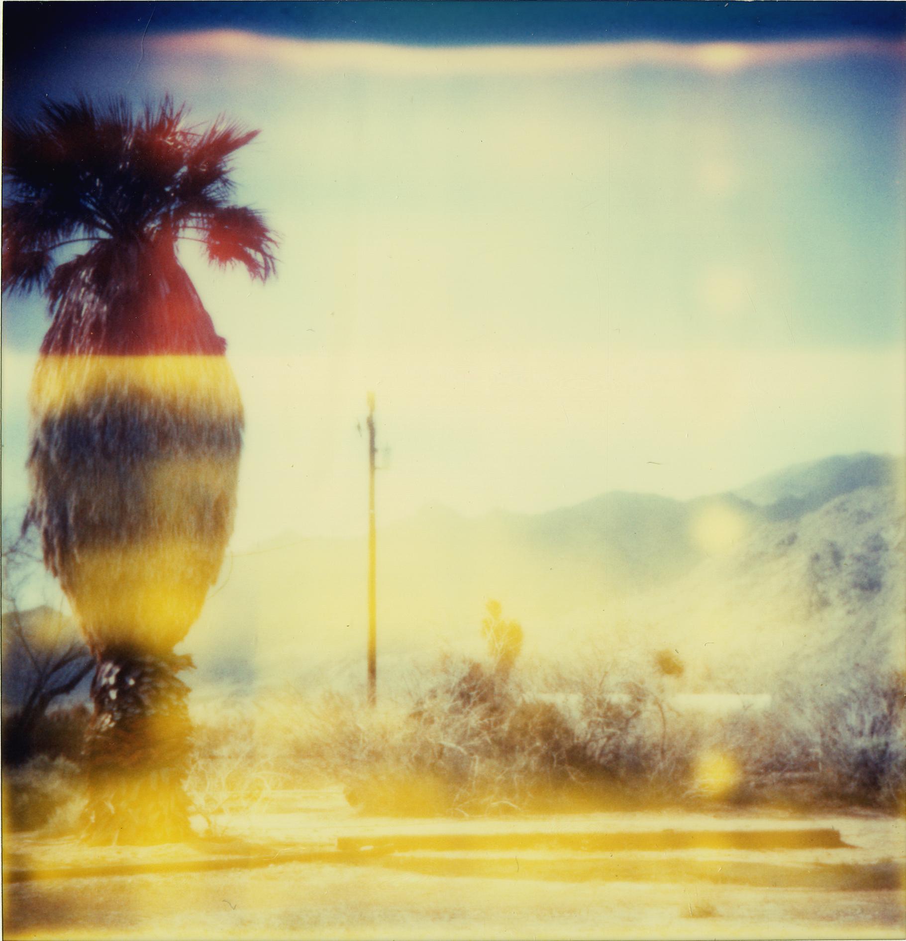 Stefanie Schneider Portrait Photograph - Oasis XIV (Sidewinder)