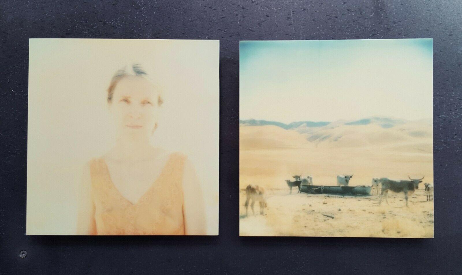 Oilfields, diptych - 21 Century, Polaroid, Contemporary, Portrait, Landscape - Orange Landscape Photograph by Stefanie Schneider
