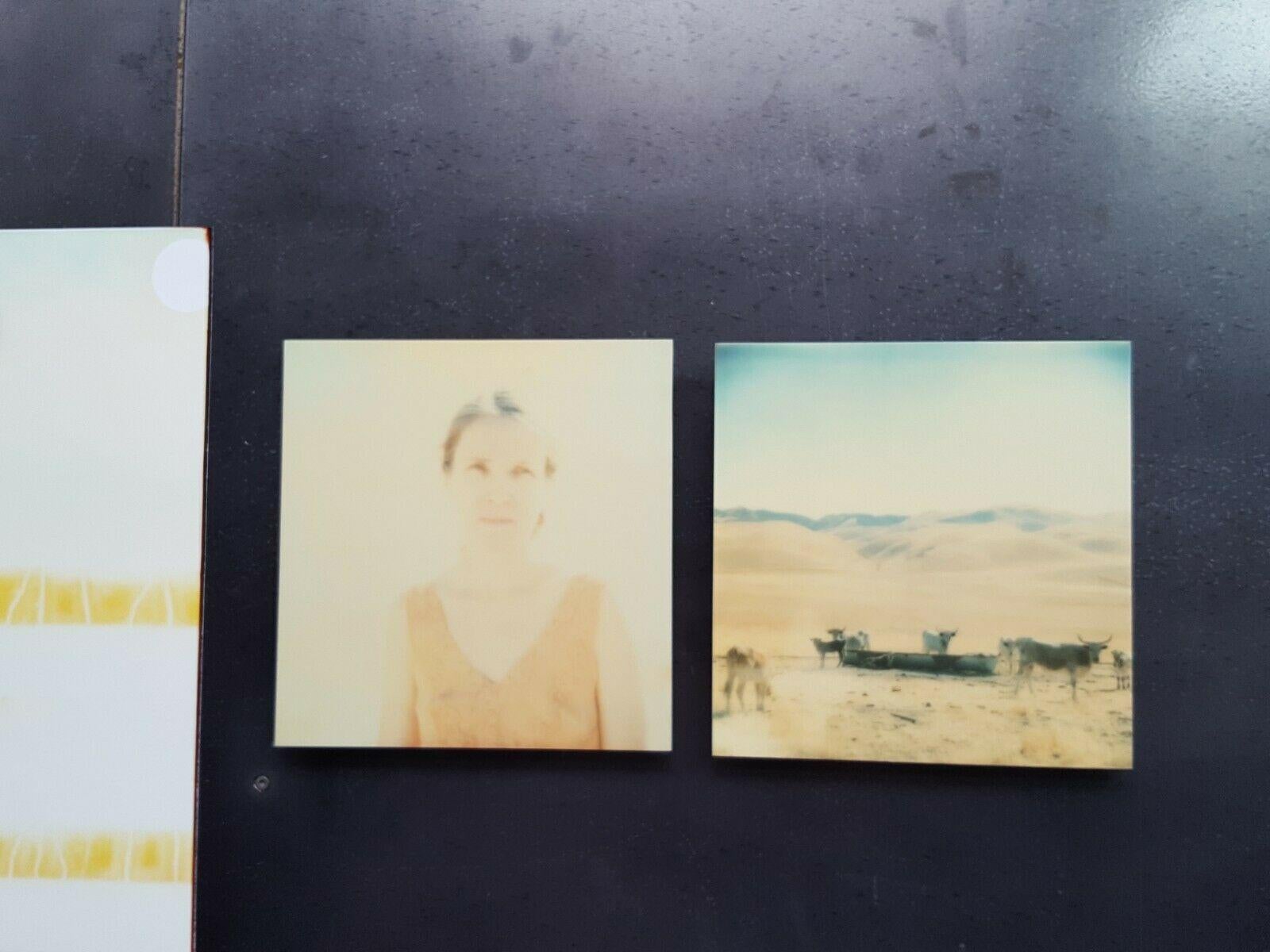 Huilefields, diptyque - 21e siècle, Polaroid, contemporain, portrait, paysage en vente 2