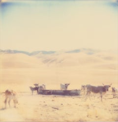 Campi petroliferi, dittico - Contemporaneo, Polaroid, 20° secolo, Colore