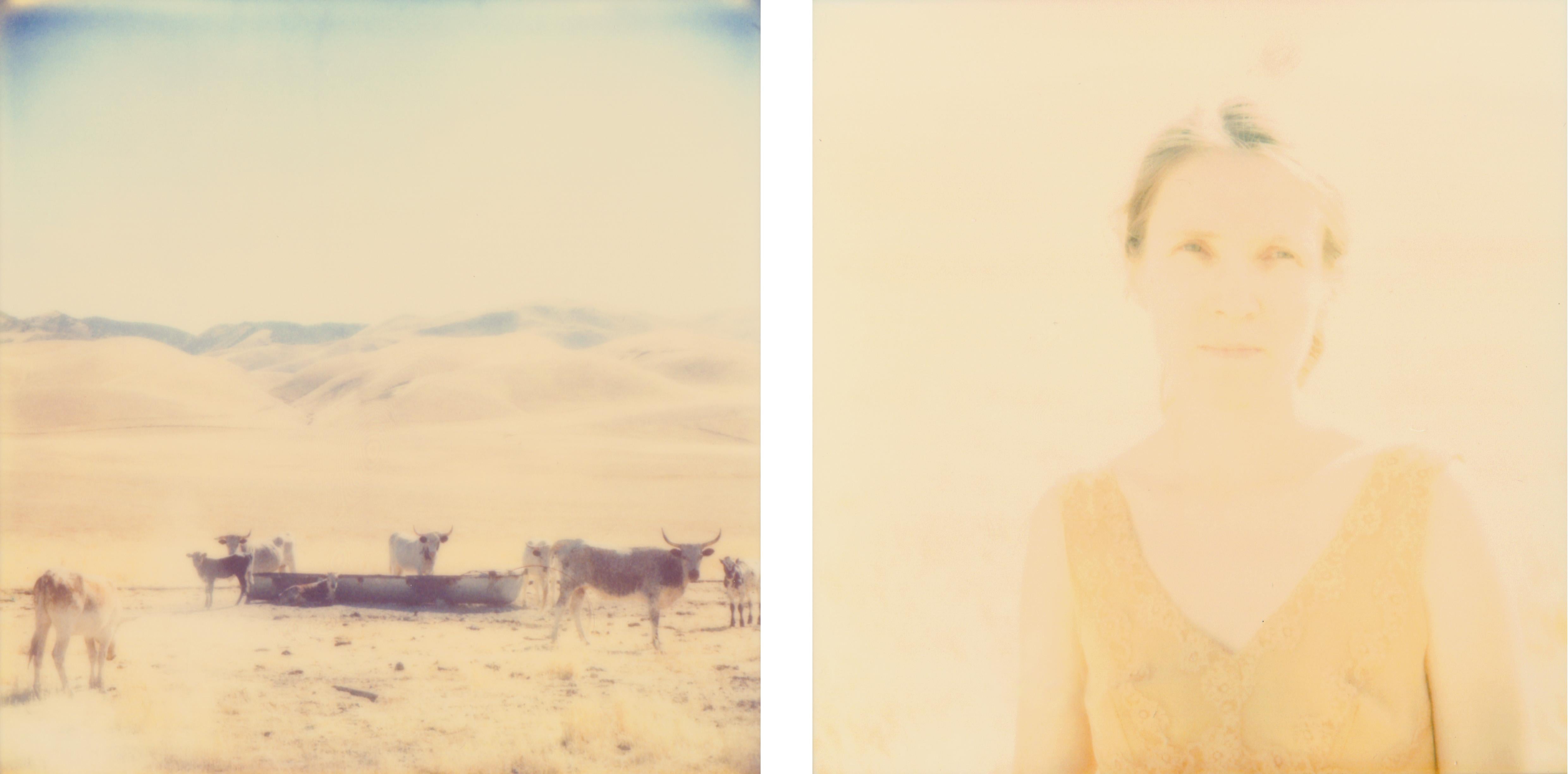 Stefanie Schneider Landscape Photograph - Oilfields, diptych - Contemporary, Polaroid, 20th Century, Color