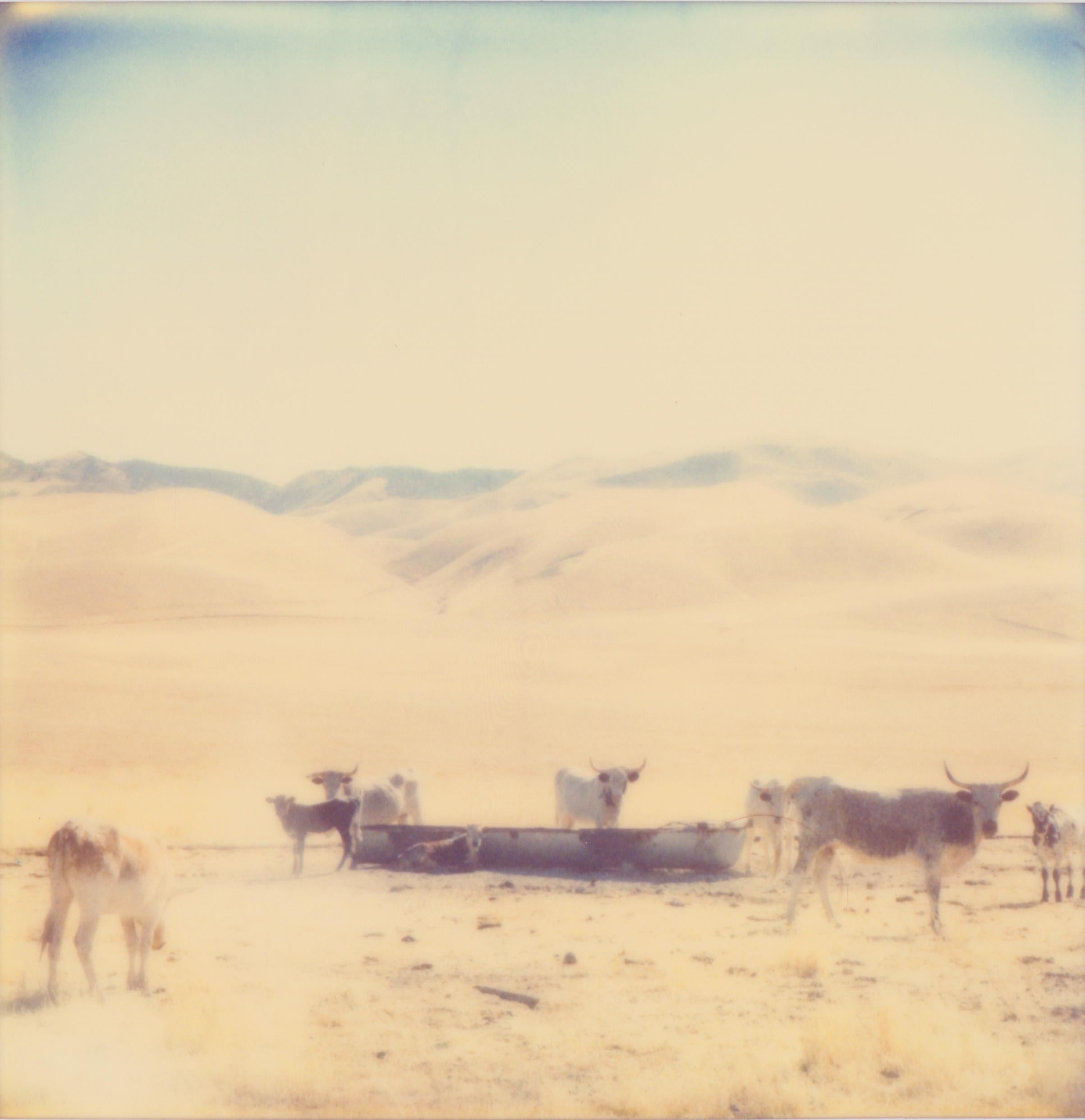 Huilefields, diptyque / Contemporain, Polaroid, Analog, Photographie - Orange Landscape Photograph par Stefanie Schneider