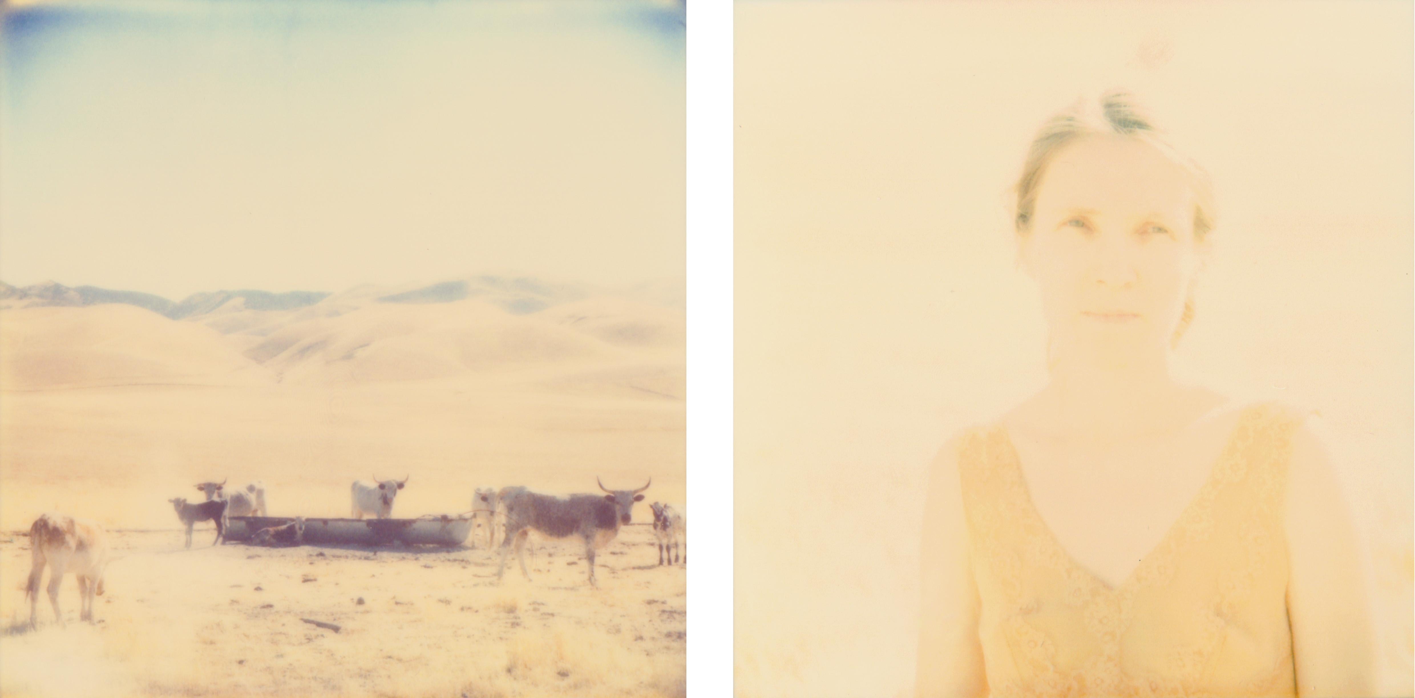 Stefanie Schneider Landscape Photograph - Oilfields, diptych - Contemporary, Polaroid, 21st Century, Color, Landscape