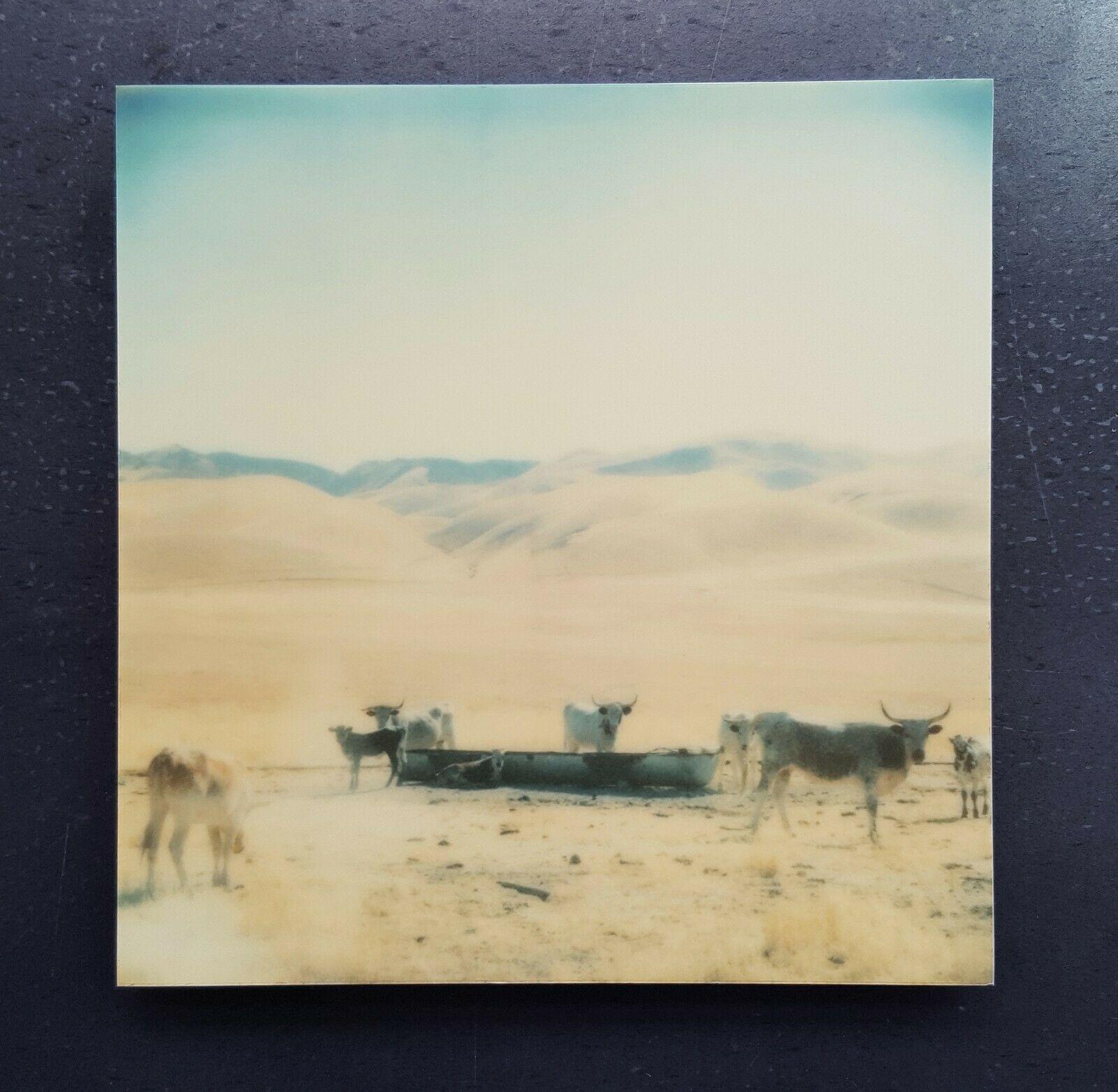 Oilfields, diptych - mounted - Polaroid, Contemporary, Portrait, Landscape 1