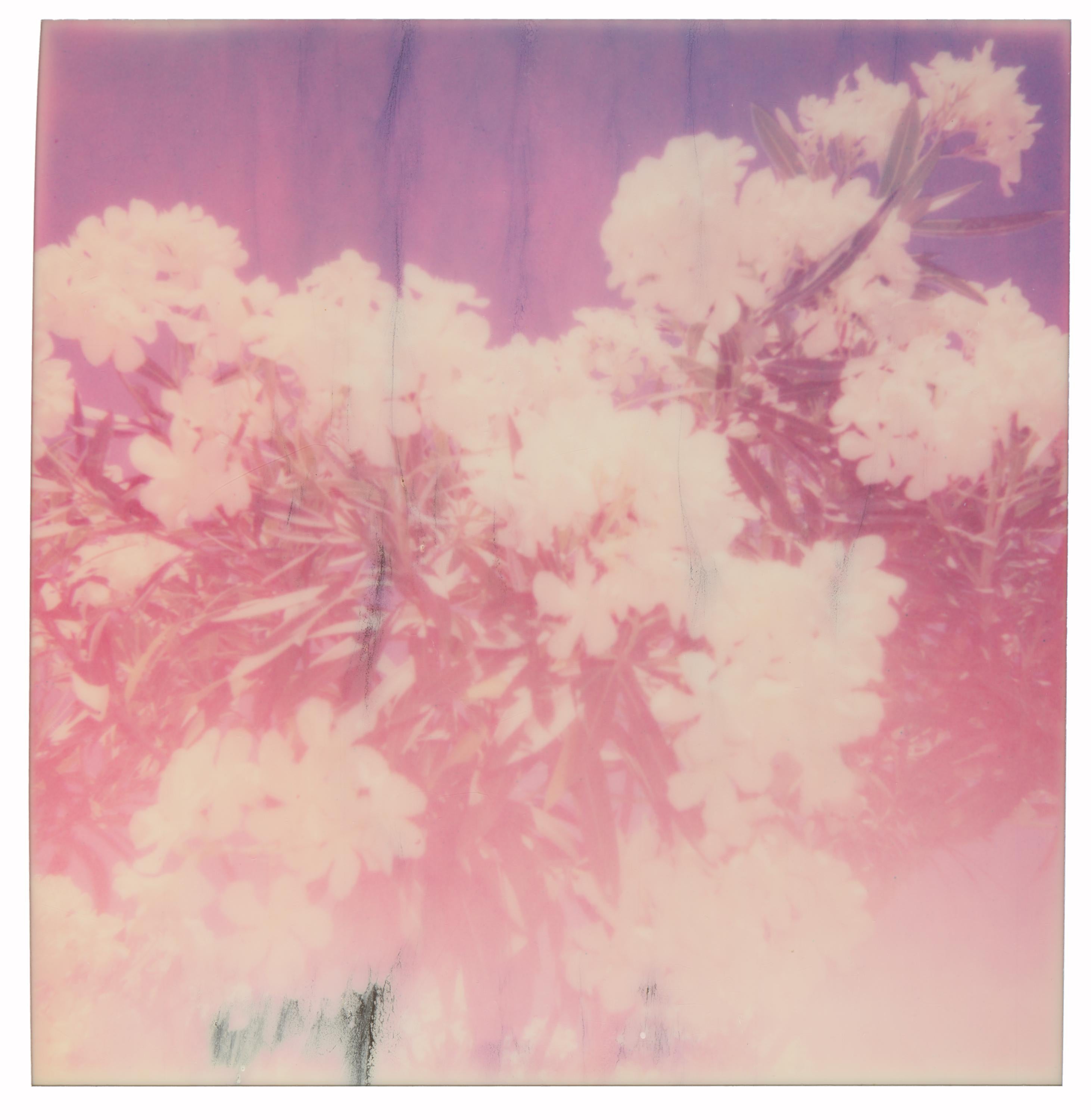 Stefanie Schneider Landscape Photograph - Oleander (Life on Mars) - Contemporary, 21st Century, Polaroid