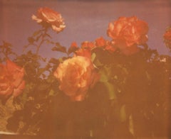Once in a Blue Moon - Polaroid, Contemporary, 21st Century, Color, Photo