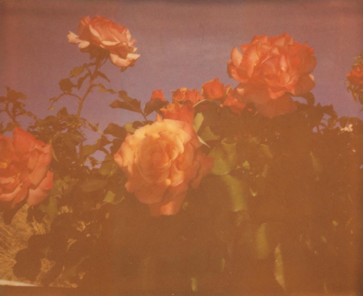 Once in a Blue Moon - Polaroid, Zeitgenössisch, 21. Jahrhundert, Farbe, Foto