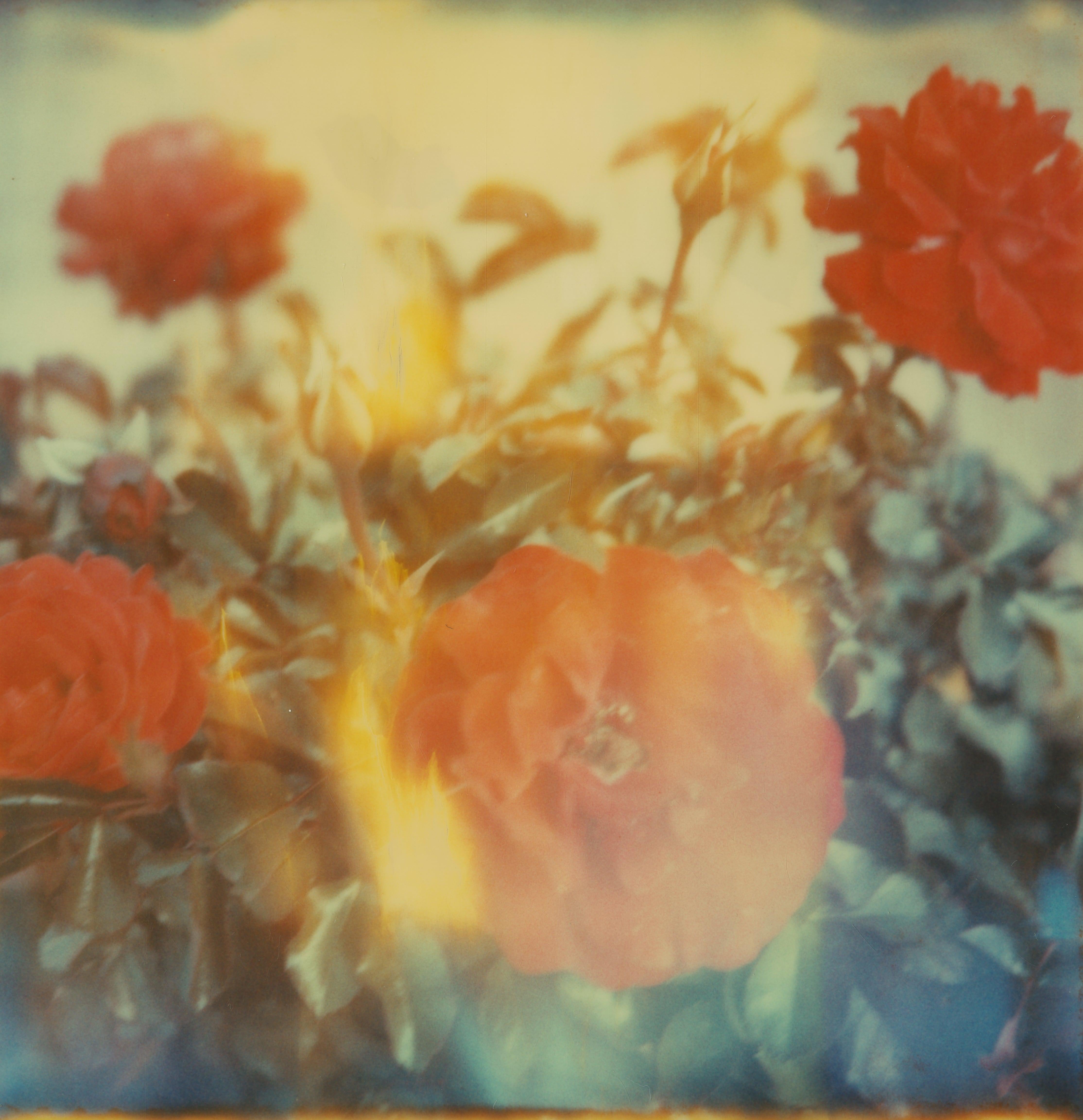 One Day I'll leave (The Girl behind the White Picket Fence) diptych - Polaroid - Photograph by Stefanie Schneider
