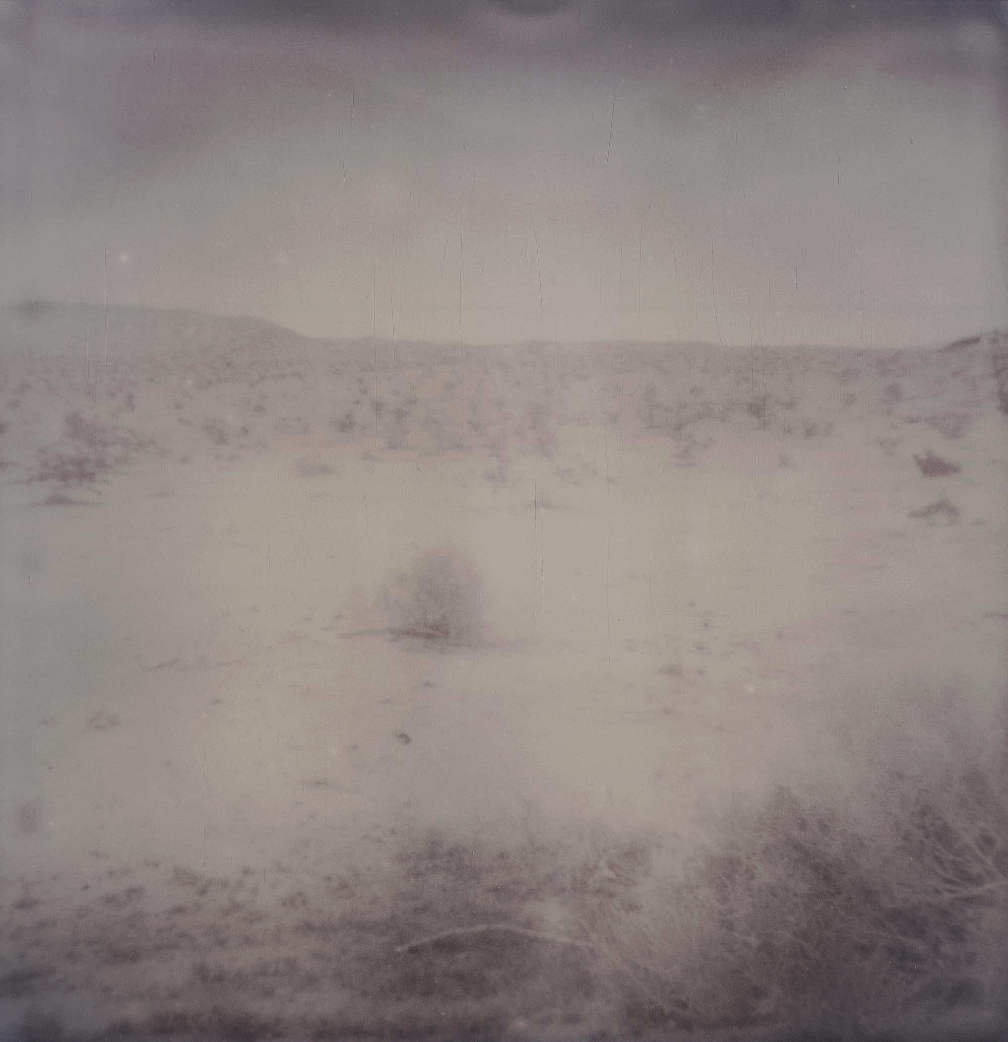 Other Desert Cities (Sidewinder) - Polaroid, 21st Century, Contemporary For Sale 12