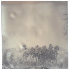 Retro Palm Springs Palm Trees (California Dreaming) - Polaroid