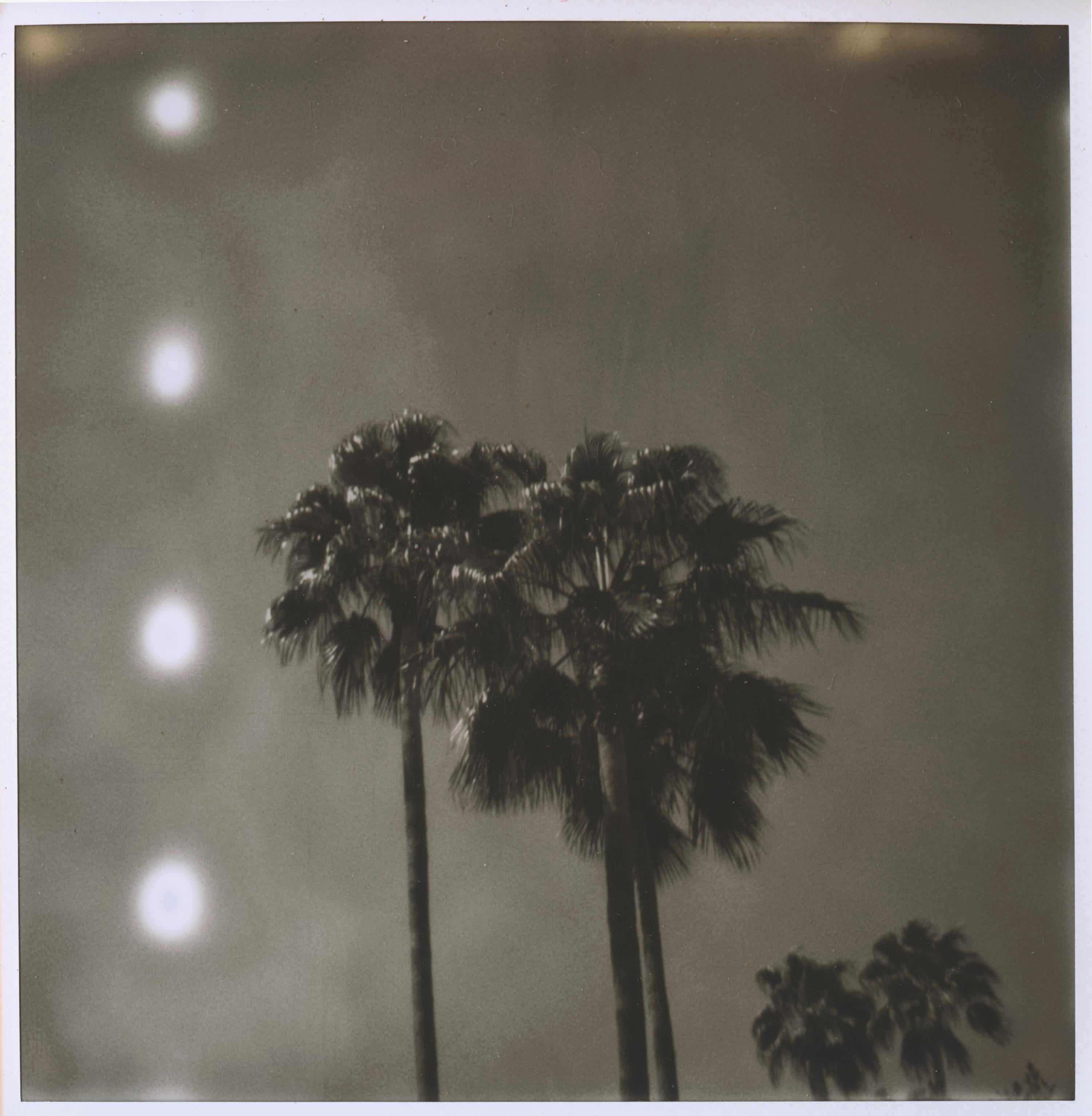 Landscape Photograph Stefanie Schneider - Palm Springs Palm Trees (Californication) - Polaroïd