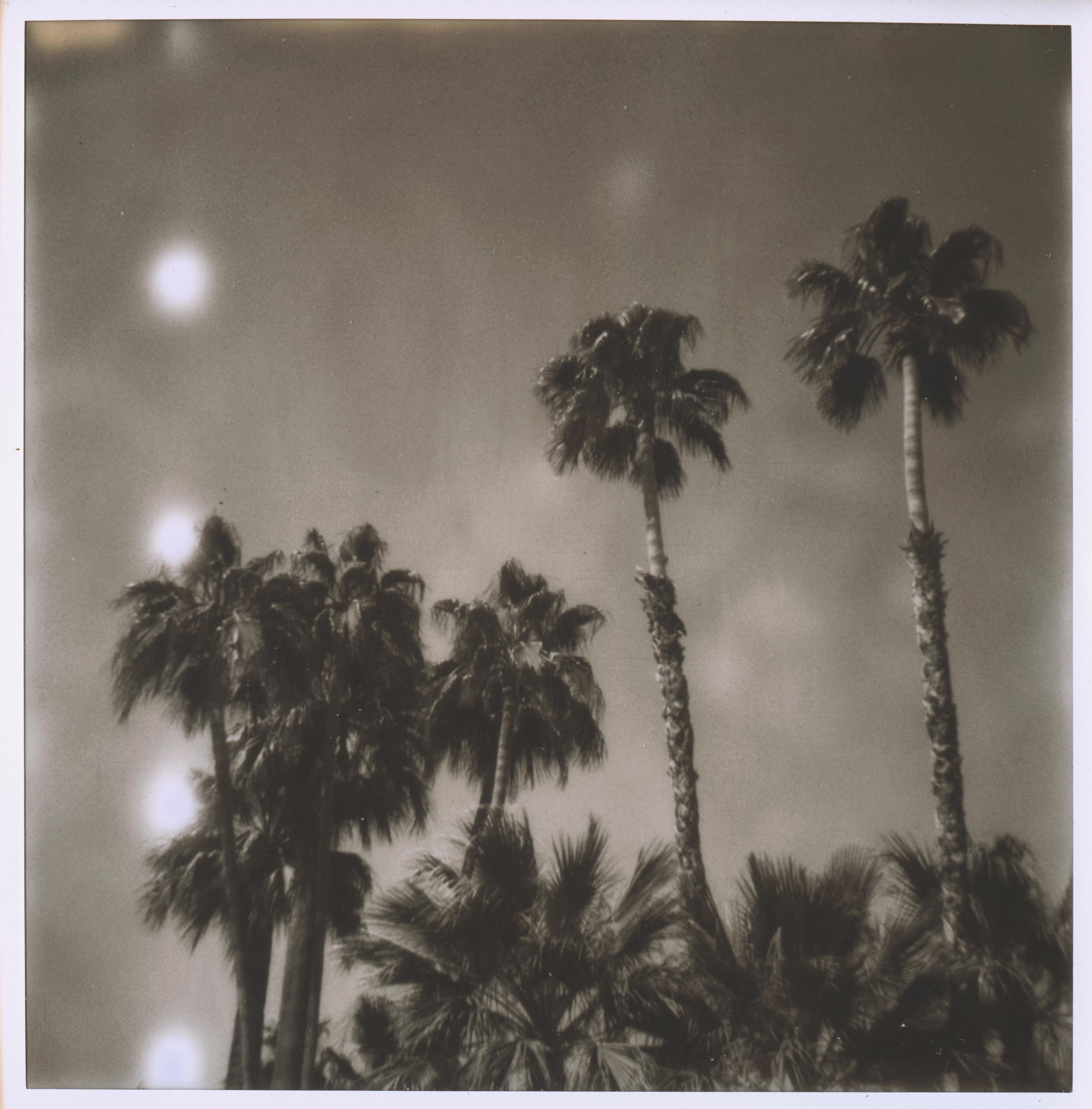 Stefanie Schneider Landscape Photograph - Palm Springs Palm Trees (Californication) - Polaroid